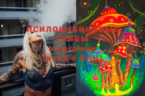 тгк Алзамай