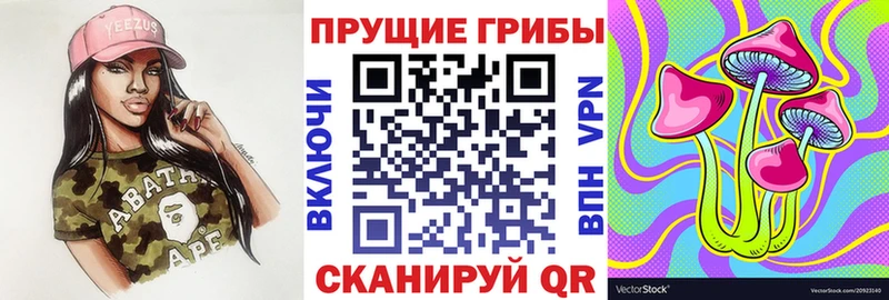 Галлюциногенные грибы Psilocybe  Приморско-Ахтарск 